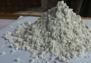 構成硅藻土的化學成分是什么？